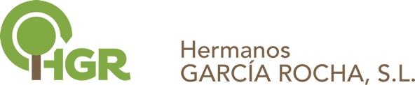 Hermanos García Rocha